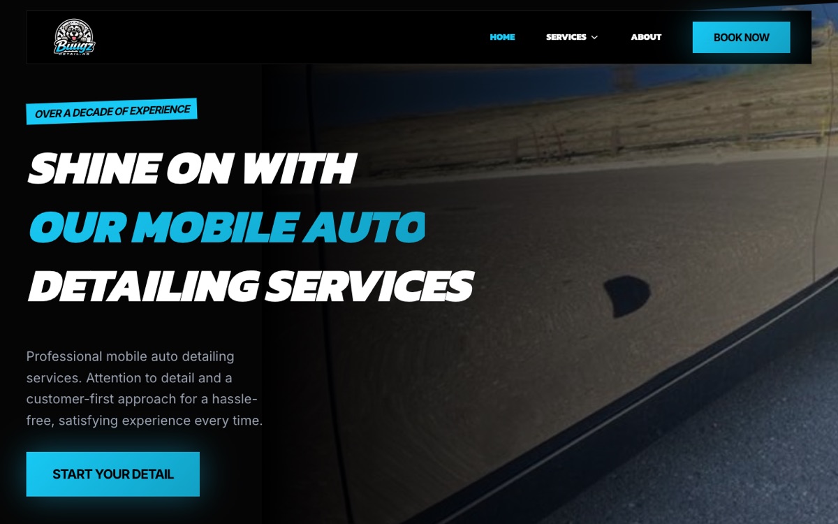 Buugz Auto Detailing homepage